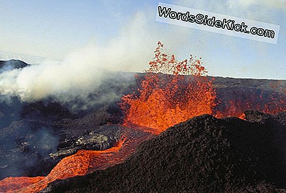 Mauna Loa Volkanı Hayata Geri Dönüyor Olabilir