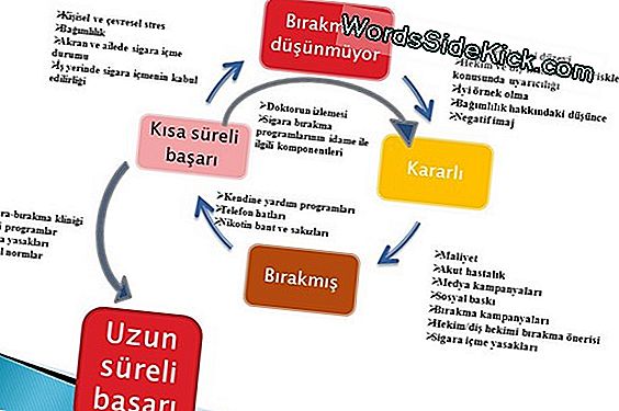 Sigara Içme Maliyet Tahminleri Gayri Abartılı Oldu