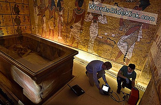 Kral Tut'Un Mezarı Nefertiti'Nin Gizli Mezarını Gizleyebilir
