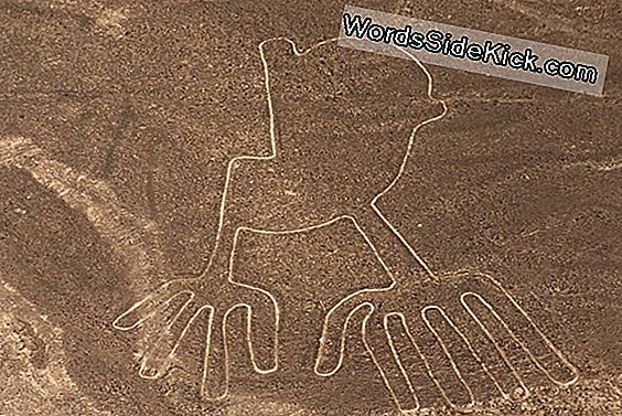 Gizemli Nazca Hattı Geoglyphs Antik Hac Yolu Oluşturdu