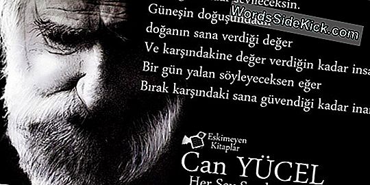 Yakalama Ve Bırakma: Büyük Beyaz Köpekbalığı Bilimi Sparks Controversy