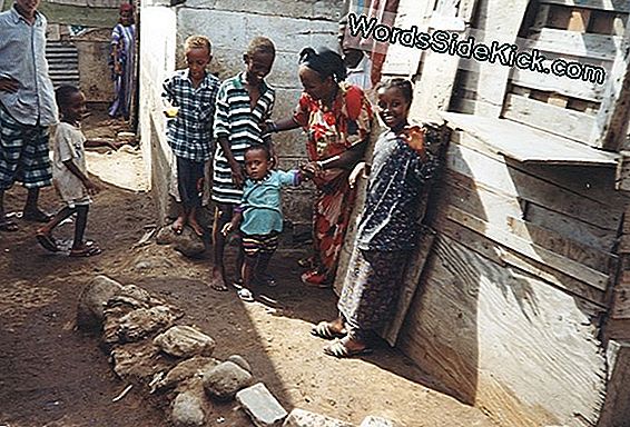 Fotoğraflar: Bir Solucan, Beş Şekil Değiştiren Ağız