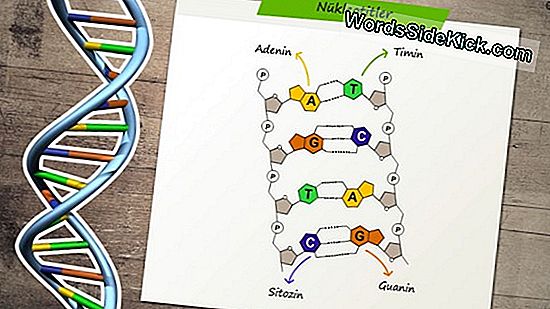 Satılık: Dna Yapısının Keşfi Için Ünlü Nobel Madalyası