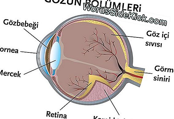 'Kornea Eritmesi': Artrit Komplikasyonu Kadının Iris Kaymasını Sağlar