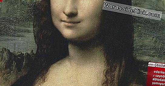 Mona Lisa'Nın 25 Sırrı Açıklandı