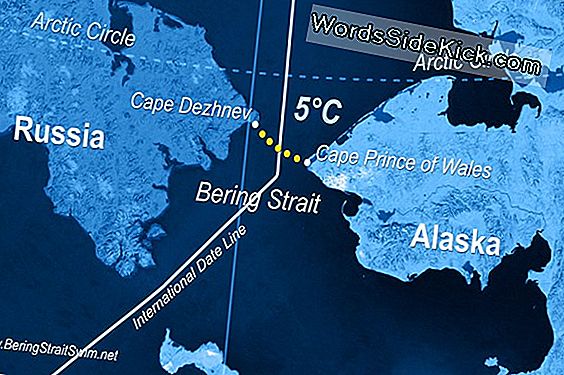 Bering Boğazı Neden Kuşatma Altında (Op-Ed)