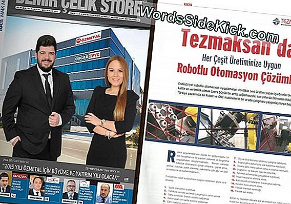 Seri Üretim Robot Böcek Uçan Gönderir