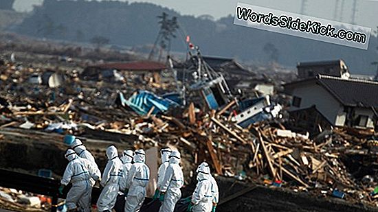 Japonya'Nın Fukushima Nükleer Reaktörlerinde Olayların Zaman Çizelgesi