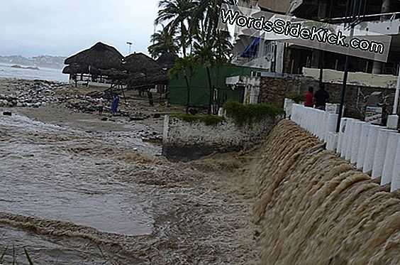 Hurricane Irma Şimdi Kategori 5 Fırtına: Ne O Anlamına Gelir