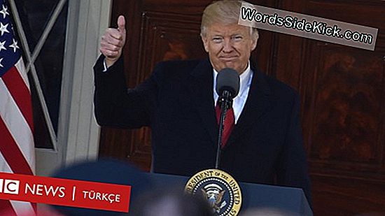 Trump Yönetim Epa'Nın Iklim Değişikliği Sayfalarını Siler