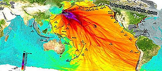 Japonya'Da Tsunami Enkaz California'Da Onaylandı
