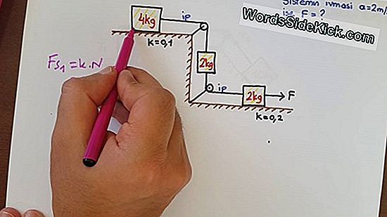 Newton'Un Hareket Çalışma Kanunları