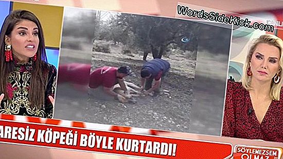 Işkence Ne Zaman Yasaldır?