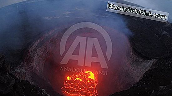 Hawaii'De Yüzlerce Deprem Kilauea Patlayabilir Mi?