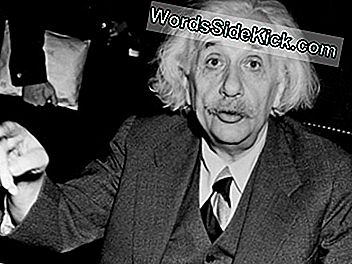 Nincs szó arról, milyen hatással volt Einstein agyára a frizuráján.