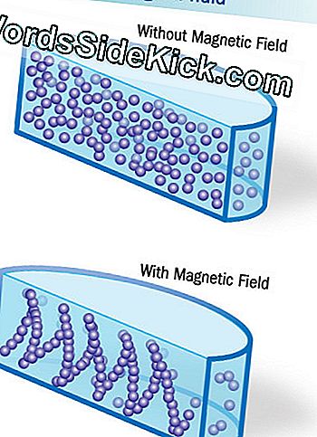 Veikiant magnetiniam laukui, magnetorheologiniame skystyje esančios dalelės išilgai lauko linijų išsidėsto.