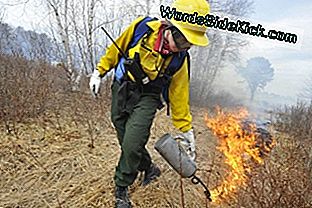 Lynn Wolfe gebruikt een infuuslamp voor het drogen van licht gras om een ​​deel van Maine's Rachel Carson Wildlife Refuge te verbranden. Het verbranden van de bodembedekking in de natuurreservaten van de staat gebeurt over een cyclus van vijf jaar en stimuleert de groei van planten zoals Beach Plum.