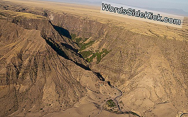 Afrika Spaltet Sich In Zwei Teile Auf Und Hier Ist Der Beweis