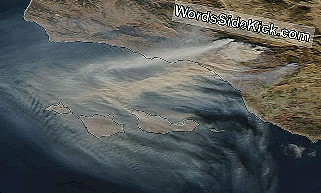 La California In Continua Crescita Thomas Fire Sputa Fumo Marrone Nell'Immagine Della Nasa