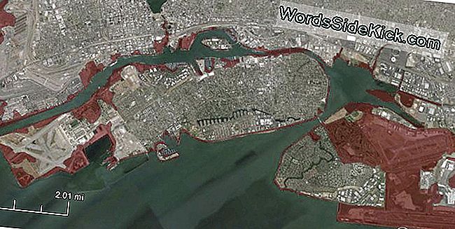 California tsunami 2025