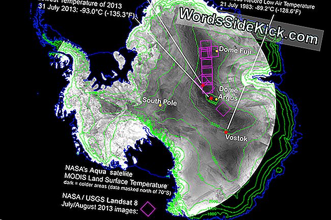 Koldeste Steder På Jorden Fundet I Antarktis, Selvfølgelig