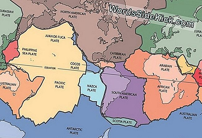 コンチネンタルドリフト：理論と定義