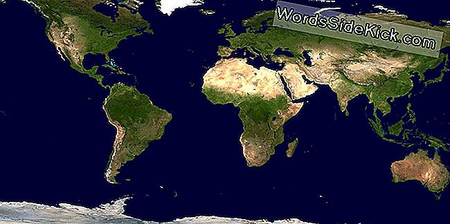 Континенты Выросли Над Океанами 3 Миллиарда Лет Назад