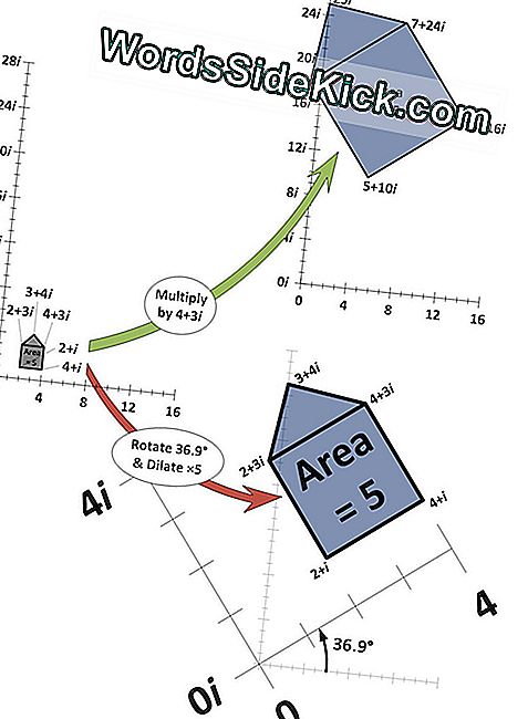 Euler'S Identity: 'The Most Beautiful Equation' - 2024 | Planeet Aarde