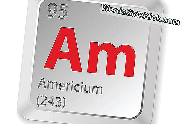 Feiten Over Americium - 2024 | Planeet aarde