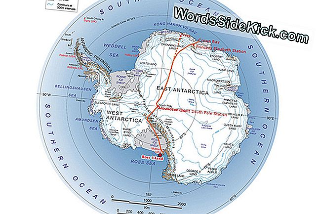 Külmavööndi Jõudude Seikleja Antarktika Trekkest Väljumiseks