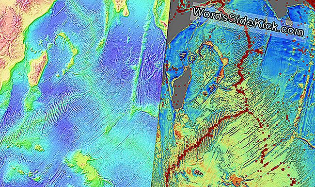 Nowa mapa topograficzna dna morskiego pokazuje znacznie więcej szczegółów niż poprzednia mapa wydana w 1997 roku.