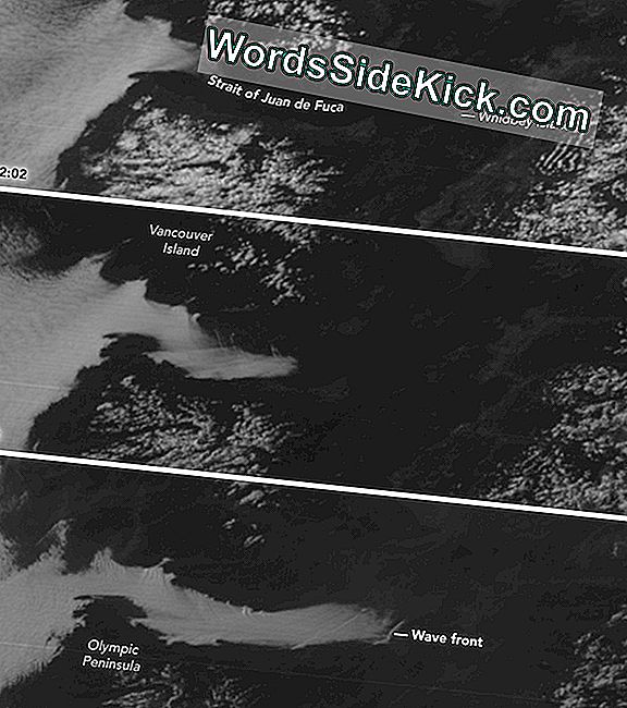 Rēgaini Satelītattēli Rāda Biezu Miglu, Kas Iespiežas Huana De Fukas Šaurumā