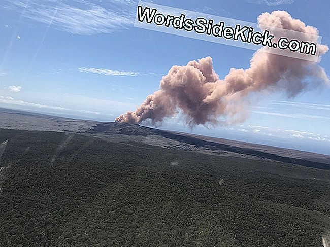 El Volcán Kilauea De Hawai Entra En Erupción Dramáticamente Después De Un Terremoto De 5.0 Grados De Magnitud
