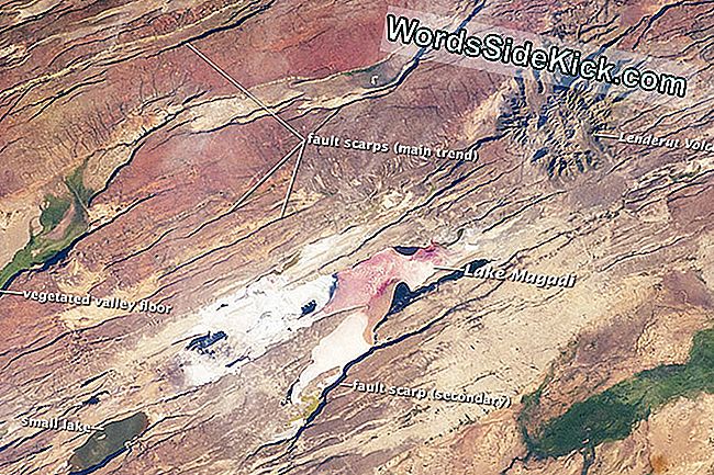 Inimuse Sünnikoht: Vaade Aafrika Rift Valley