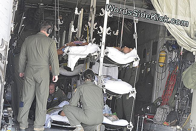 Medlemmer af den 156. Aeromedical Evacuation Squadron sikre patienter fra Lower Keys Medical Center i Key West ombord på en North Carolina Air National Guard C-130 til evakuering forud for orkanen Irma's ankomst den 6. september.