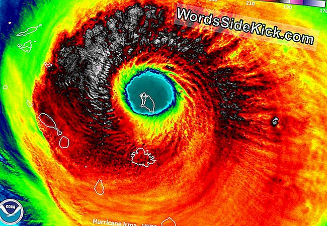 Irma Florida'Ya Doğru Direniyor, Ama Son Etkileri Belirsiz