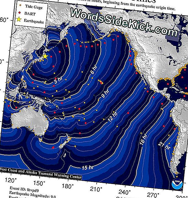 Japan Earthquake And Tsunami Van 2011 Feiten En Informatie 2024