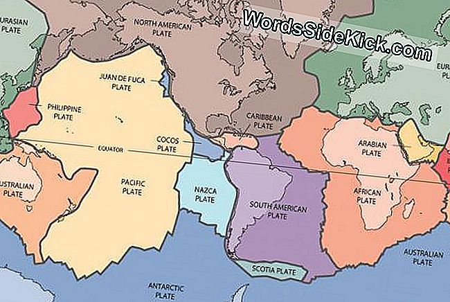 Explicación De La Geología Explosiva De Japón 2023 Planeta Tierra