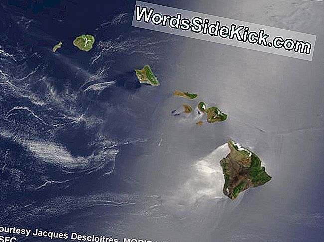 Erdrutschgesteuerte Megatsunamis Bedrohen Hawaii