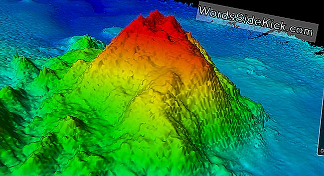 Volcán Masivo Extinto Descubierto Debajo Del Océano Pacífico