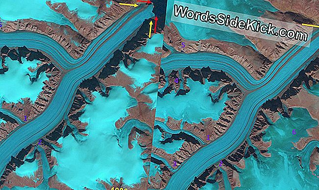 Imaginile din satelit din 1989 (Landsat) 2016 (Sentinel) arată retragerea ghețului de încoronare și formarea unei noi insule la capătul ghețarului (săgeată galbenă). Săgețile roșii indică sfârșitul ghețarului în 1989.