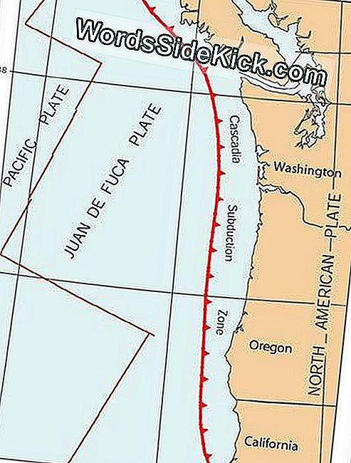 De Cascadia-fout. Wetenschappers hebben pas onlangs ontdekt dat de onderzeese breuklijn nog steeds actief was en grote aardbevingen kon veroorzaken.