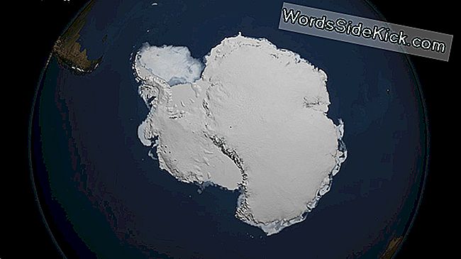 Op 3 maart 2017 kromp de zeeijsbedekking rond het Antarctische continent tot zijn laagste jaarlijkse minimale omvang in het 38-jarige satellietrecord.