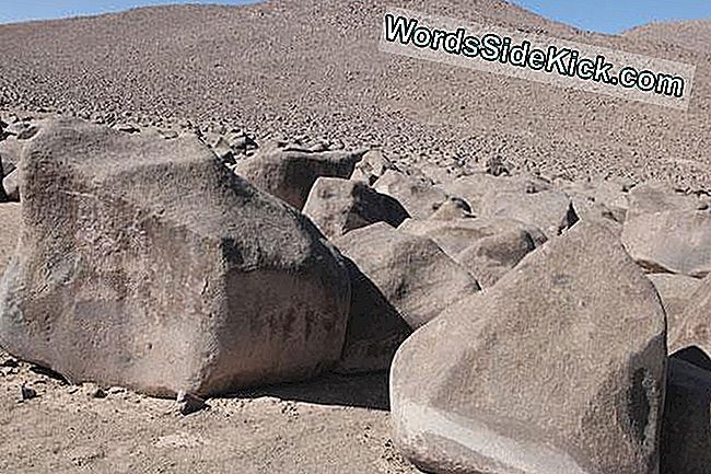 Las rocas están esparcidas por los pisos de Atacama.