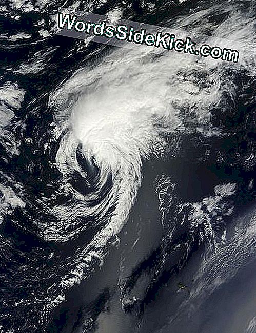 Trooppinen Storm Gordon, jonka NASA: n Terra-satelliitin satelliittivälitteisen kuvaprosenttimittarin vangitsi 20.8. Klo 8.20 EDT, ennen kuin se siirtyi trooppiseen myrskyyn.