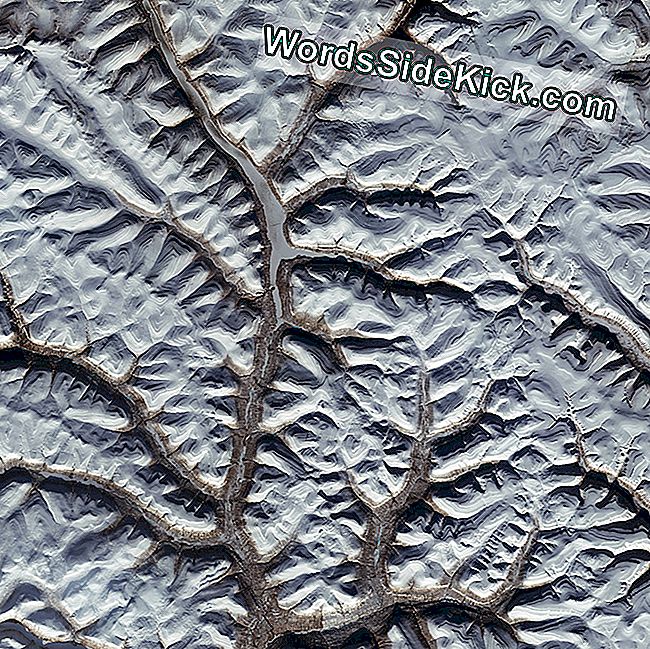 宇宙からの忘れられないイメージでキャプチャされたシベリアの雪の「静脈」