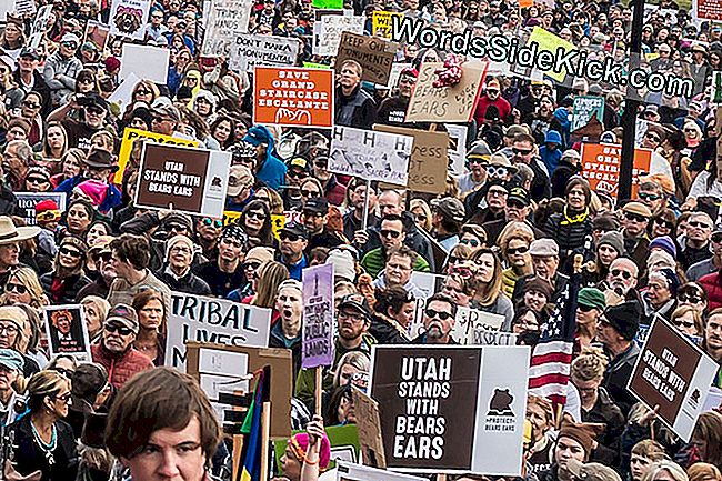 Trump Krimpt Drastisch Grand Staircase-Escalante En Bears Ears Parks