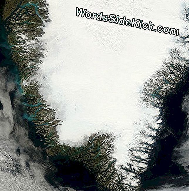 Ištirtas regiono Grenlandijos pietinės pusės palydovinis vaizdas. Ledas dengia 80 procentų salos.