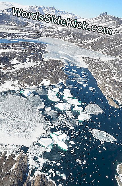 Fjord, der in Ostgrönland im Juni mit geschmolzenem Meereis und Eisbergen verschluckt wurde.