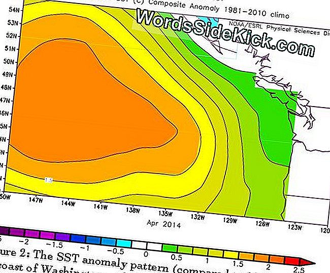 'Warm Blob' En El Océano Pacífico Será El Culpable Del Mal Tiempo De Los Estados Unidos